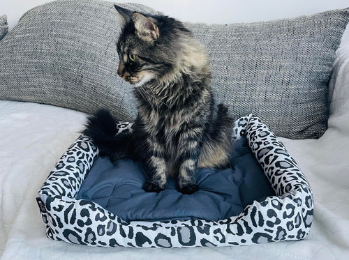 cats bed 
