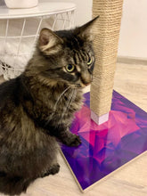 Load image into Gallery viewer, Scratching Post PURPLE
