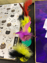 Load image into Gallery viewer, Cat Toy Balls With Feathers
