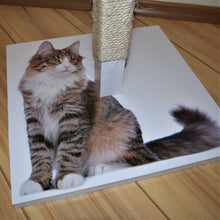 Load image into Gallery viewer, Personalized MuriCATS Scratching Post
