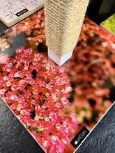 Load image into Gallery viewer, MuriCATS Scratching Post FLOWERS
